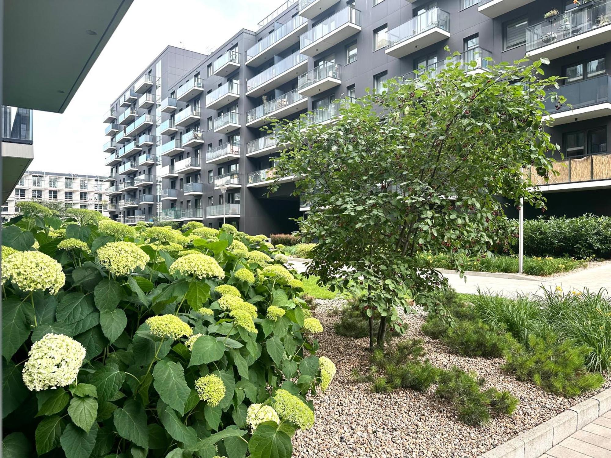 Mieszczanska 25 Apartment - Self Check-In 20H - Parking & Lift Breslavia Esterno foto